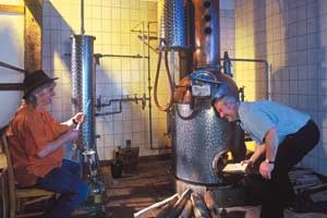 Distilling schnapps with Erwin vd Mühle