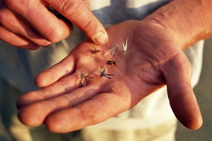 Eifel Pesca a Mosca