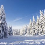 winter landscape-eifel