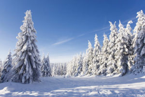 Gutschein Winter-Romantik-Tage