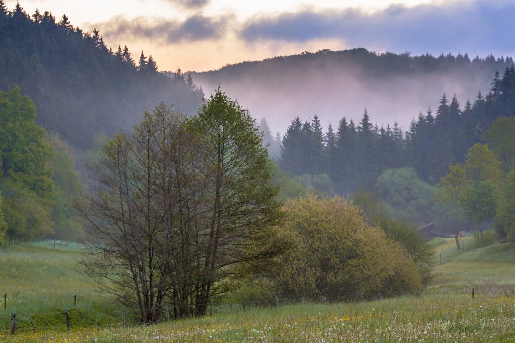 Vroege ochtend zonsopgang Eifel