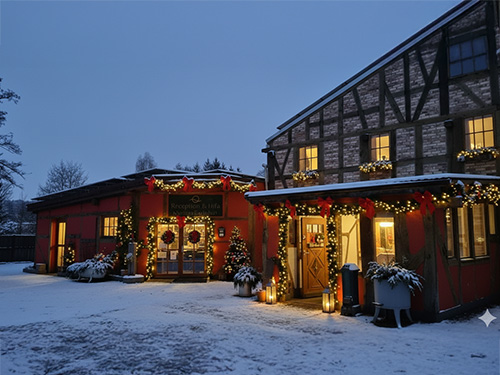 Mühle-Winter-500-300